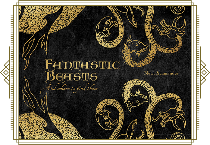 Fantastic Beasts And Where to Find Them